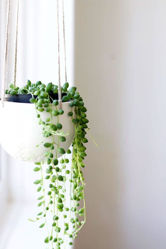 hanging planters