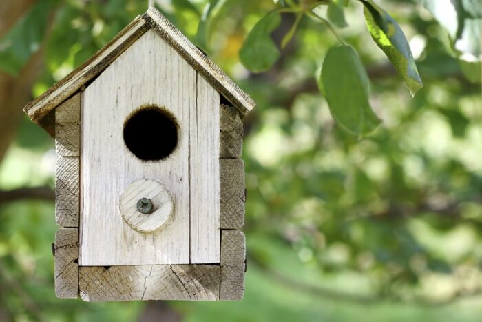 DIY Birdhouse Ideas