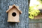 15+ Creative DIY Birdhouse Ideas for Your Garden