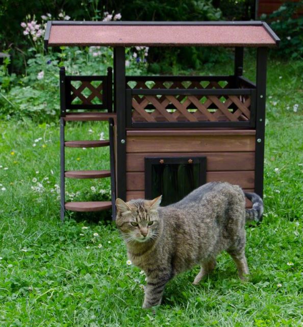 cat house ideas