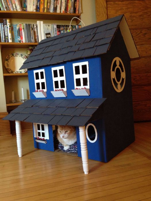 cat house 