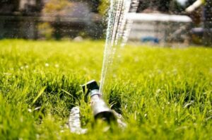 Why Watering Artificial Grass is A Good Idea