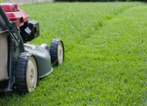 Benefits of Using Lawn Care Services