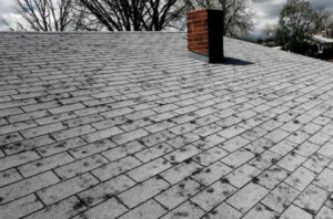 roofing hail damage