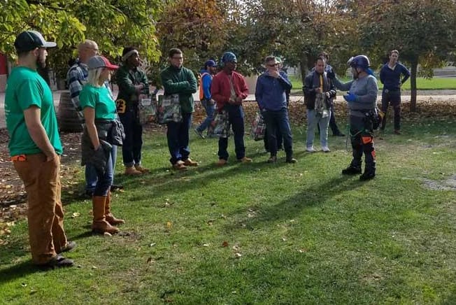 The Role of Arborists in Sandy