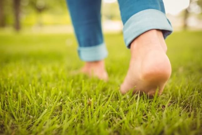 Summer Lawn Care Tips