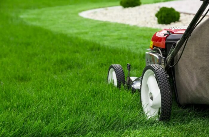 lawn mowing techniques