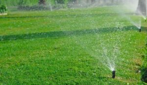 Initiate Responsible Irrigation Practices