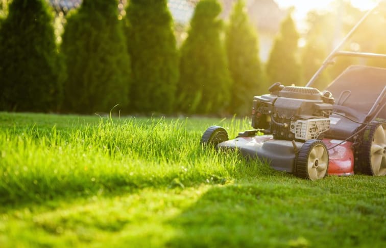 Understanding the Basics of Lawn Mowing