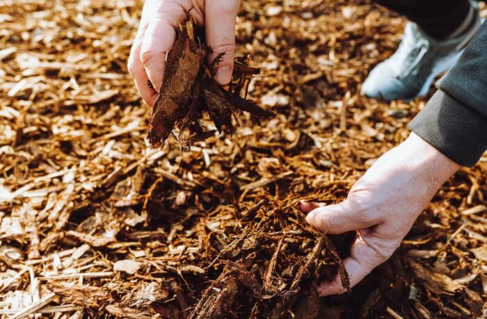 Ultimate Guide to Mulching