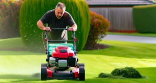How to mow wet grass