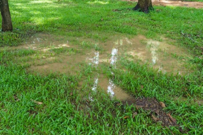Remove Excess Water from the Lawn