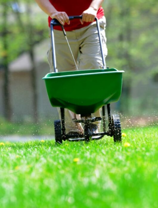 How to Overseed in Easy Ways